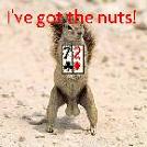 Nuts