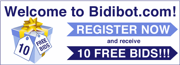 BidiBot Review